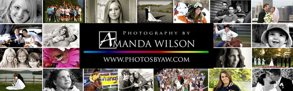Amanda Wilson logo