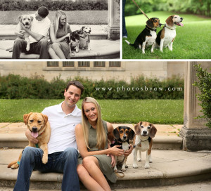 dog engagement photos